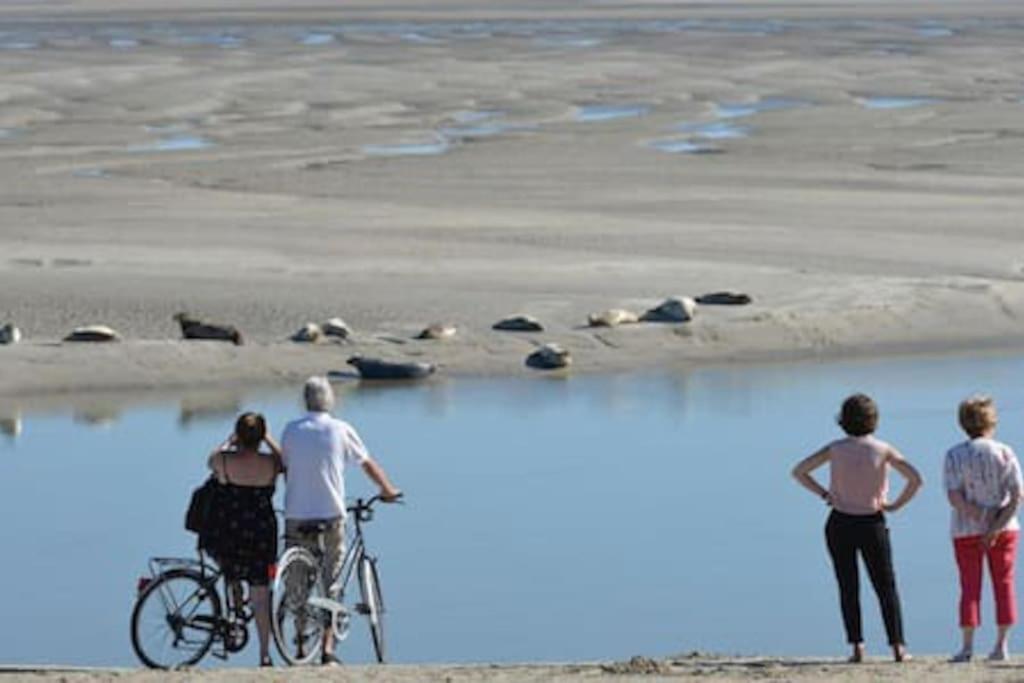 Hamac Face Mer Berck Buitenkant foto